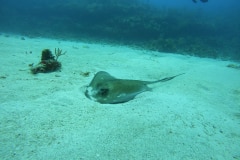 DCIM\101GOPRO\GOPR0370.JPG