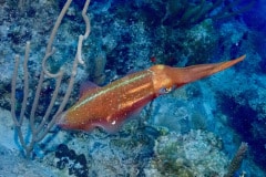 P8211173