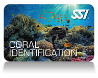 Coral-ID
