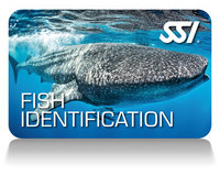 Fish-ID
