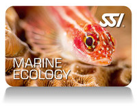 Marine-Eco