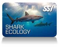 Shark-Eco