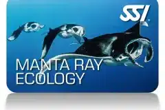 ssi-manta-ray-ecology-card