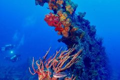 DiveBVI_RMSRhone_divers