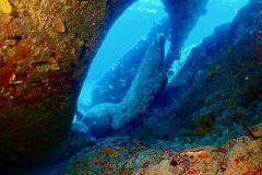 DiveBVI_prop_RMSRhone