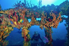 DiveBVI_RMS-Rhone-columns