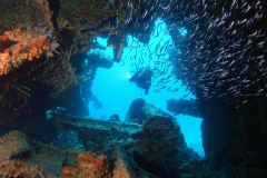 Diving in the Caribbean at the RMS Rhone, beautiful environment with beautiful animals, the ship sank 1867 at Salt Island and 123 people lost there lives,
