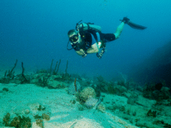 Scuba Courses and Training