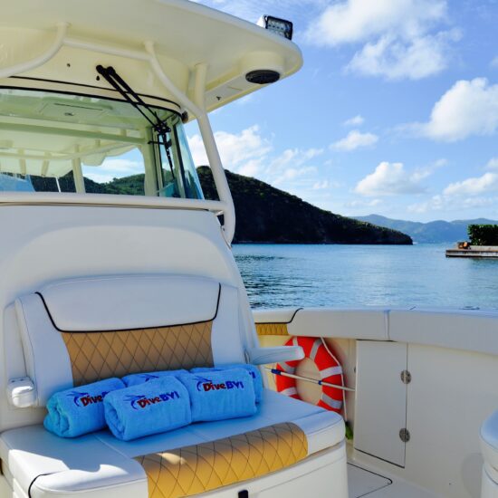 Sea Bandit private charter