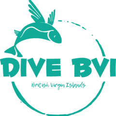 Dive BVI Logo