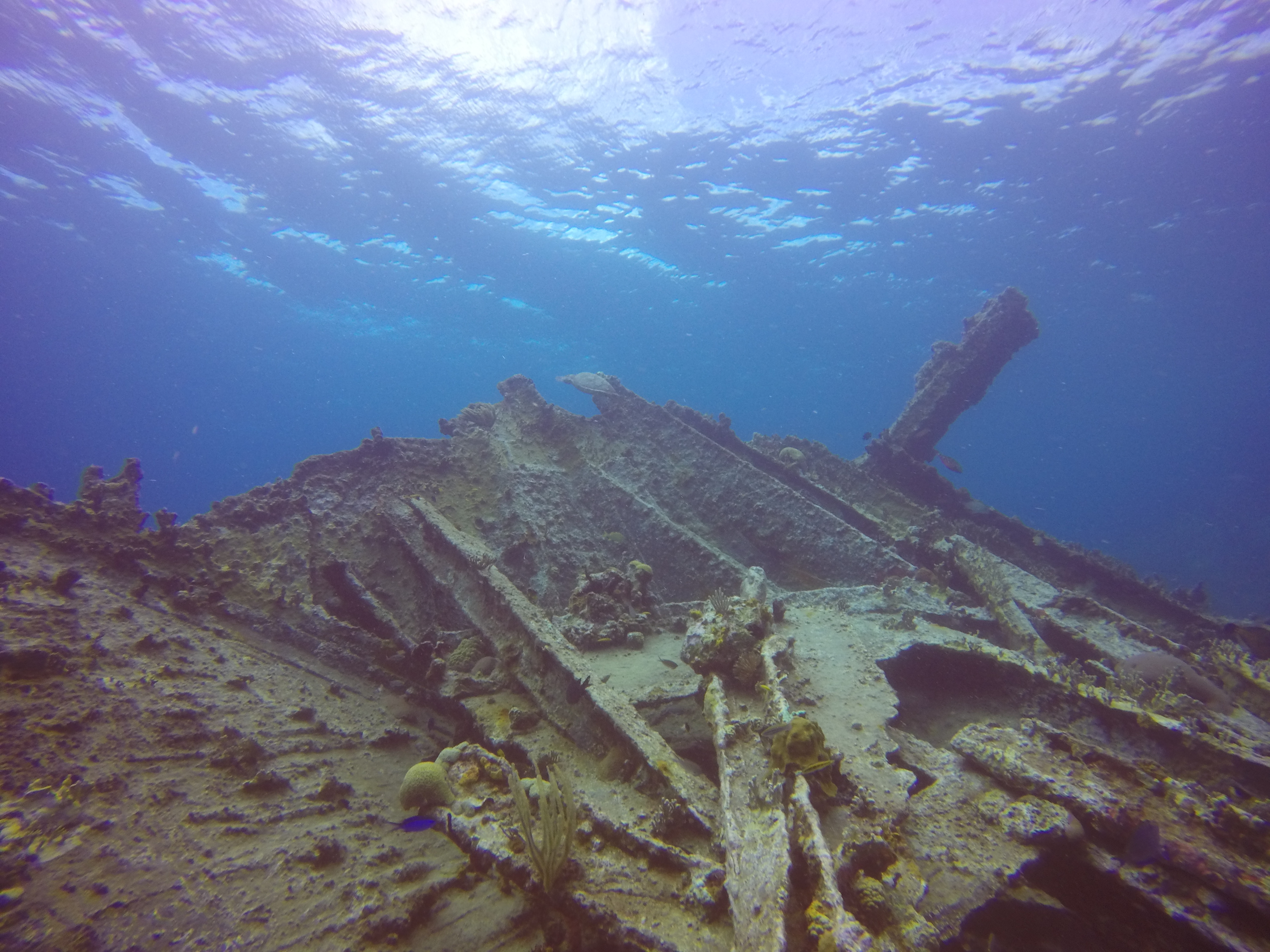 Rhone wreck stern