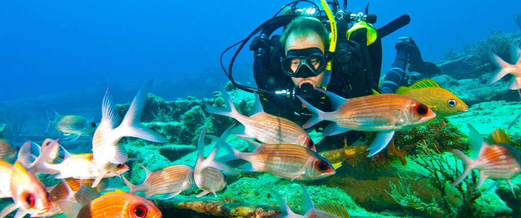 CCR diver on BVI shipwreck