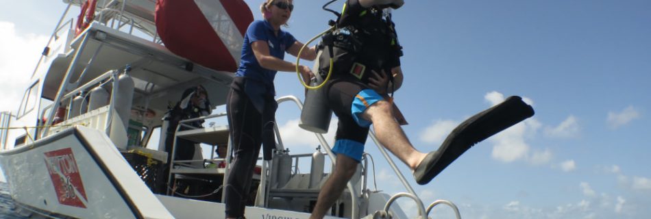 Diver doing giant stride