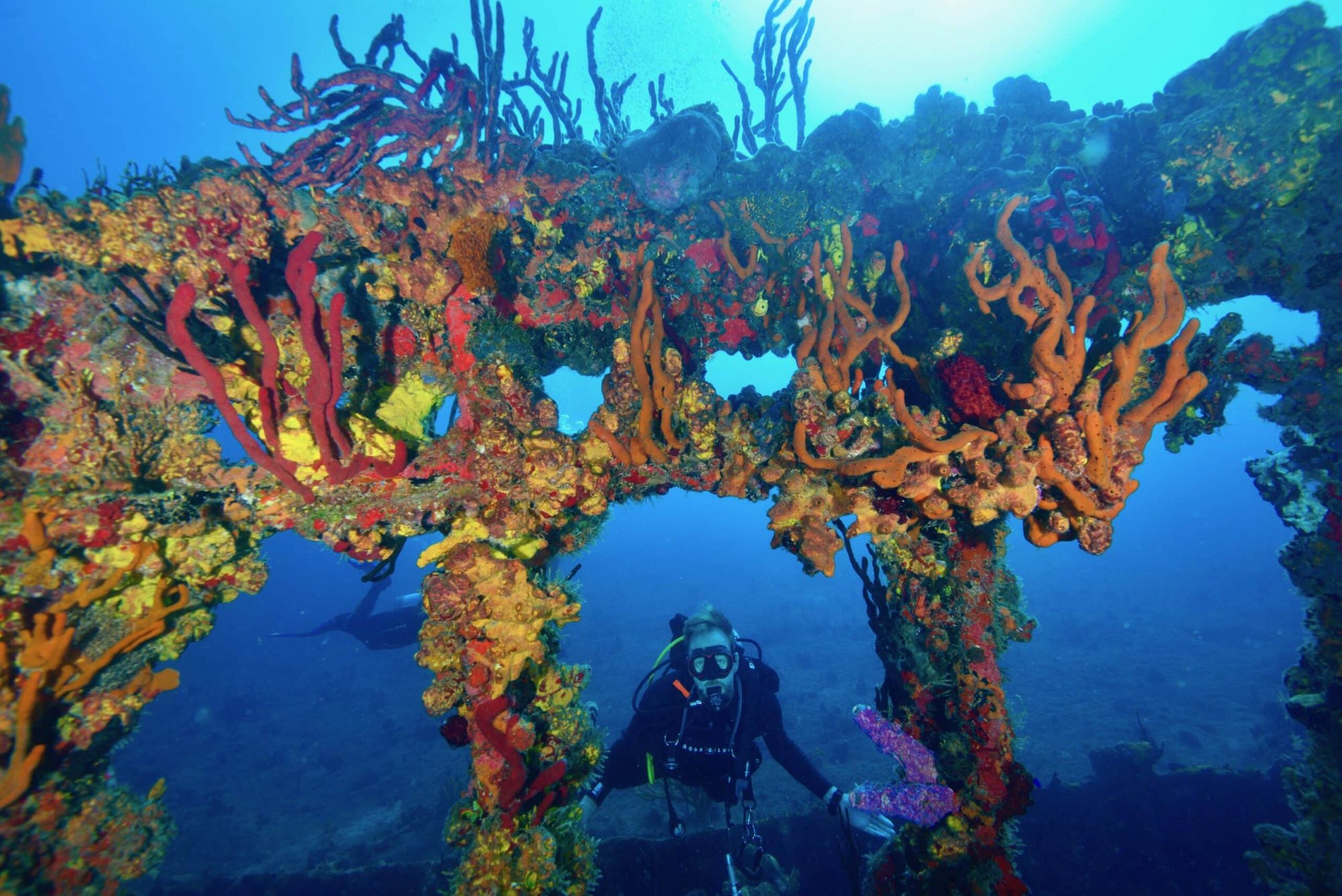 Marine Ecology