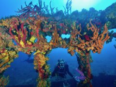 Marine Ecology