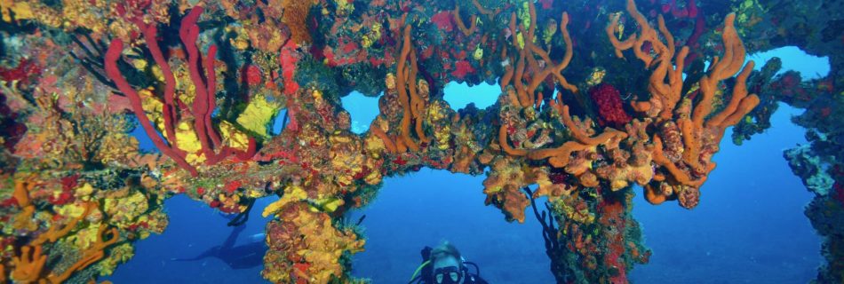 Marine Ecology