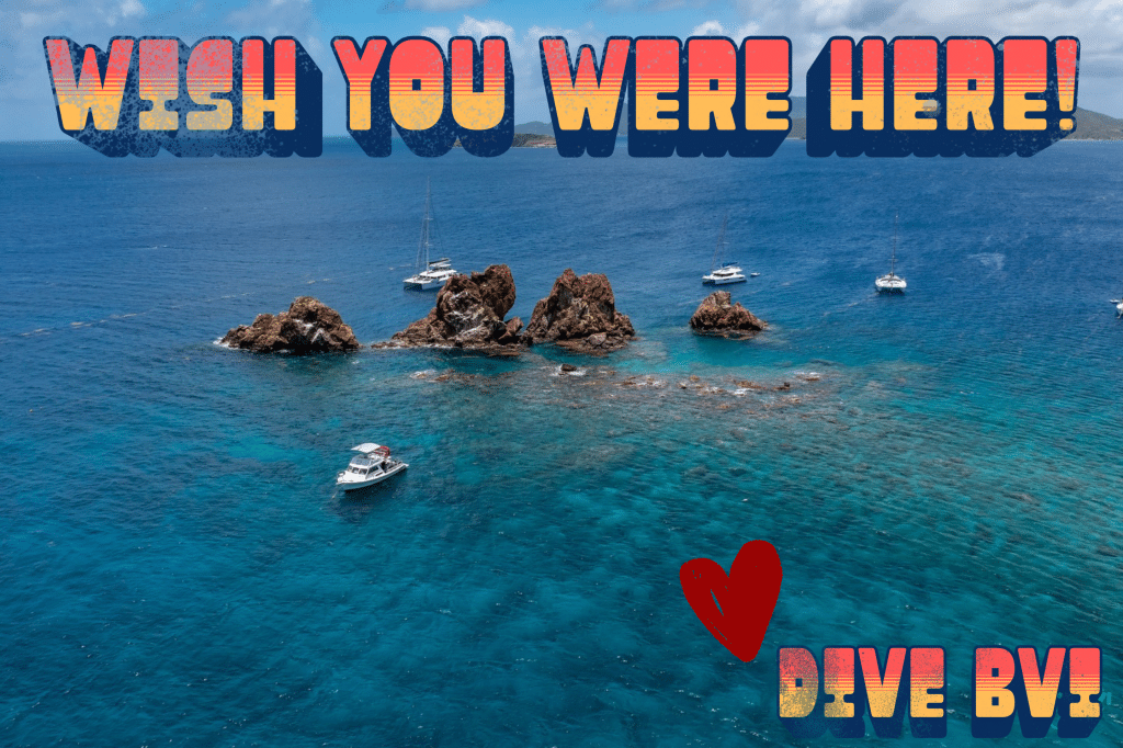 Ultimate BVI Vacation Guide