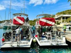 Dive BVI Newtons_on the dock